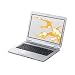 Sony VAIO NR32M/S - Pentium Dual Core T2370 / 1.73 GHz - RAM 2 Go - HDD 200 Go - DVD�RW (�R DL) / DVD-RAM - GMA X3100 Dynamic Video Memory Technology 4.0 - LAN sans fil : 802.11b/g - Microsoft Windows Vista Familiale Premium SP1 - 15.4" �cran large TFT 1280 x 800 ( WXGA ) X-black