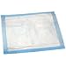 Kitchen & Housewares : Brampton Company Economy Puppy Pads 22x22in 100ct