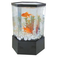 Buy Mini-Hex Aquarium Kit by KOLLER CRAFT