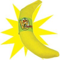 Yeowww! 100% Organic Catnip Toy Assortment (banana, cigar, pumpkin, candy cane)