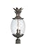 Acclaim 7517BC Lanai Collection 3-Light Post Mount Outdoor Light Fixture, Black Coral
