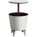 Cool Bar Cocktail Table Side Table and Cooler in One