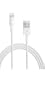 Apple Lightning to USB Cable