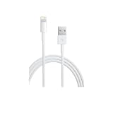 Apple Lightning to USB Cable