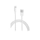  by Apple   225 days in the top 100  (1286)  Buy new: $19.00  $16.99  125 used & new from $0.01