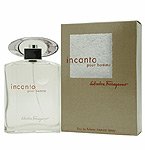 フェラガモ インカント プールオム オーデトワレスプレー 100ml -T45