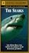 National Geographic: The Sharks