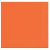 Solid Terra Cotta Lunch Napkin