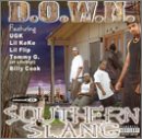 Southern Slang