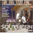 Southern Slang