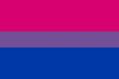 Bi Pride Flag Bisexual Banner Gay Lesbian LGBT 3x5 Rainbow Festival Pennant