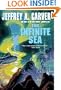 The Infinite Sea (Chaos Chronicles/Jeffrey a. Carver, Vol 3)