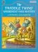 Books : The Twiddle Twins' Amusement Park Mystery (Twiddle Twins)