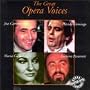 Great Opera Voices