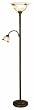 Normande Lighting 100W Incandescent Torchiere Floor Lamp with Side Reading Lamp. 71 High with a Dark Bronze Painted Finish and Frosted Glass Shades with Wire Décor.