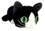 THE CAT Artlist - American Shorthair (7'') Plush Toy