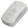 Gas Detector