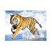 Spielspass Verlag 77210 - Tiger 500 teile