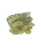 Design 6Stone Ring Lime