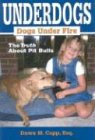 American Pit Bull Terriers: The Truth Behind One of America's Most Popular Breeds