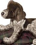 Wolfgang Pointer 16