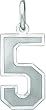 Sterling Silver Medium Satin Number 5 Charm