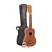 Vintage Ukulele Outfit - Natural