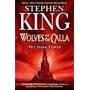 The Dark Tower: Wolves of the Calla v. 5