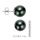 14k Gold,10-10.5mm Black Tahitian South Sea Pearl Stud Earring
