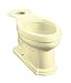 Read Kohler K-4288-Y2 Devonshire Comfort Height elongated toilet bowl, Sunlight Details Kohler K-4288-Y2 Devonshire Comfort Height elongated toilet bowl, Sunlight