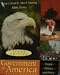 Government in America (Brief Version) (Study Edition)