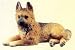 Puppy Figurine - German Shepherd