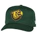 Fresno Grizzlies Batting Practice Cap by New Era