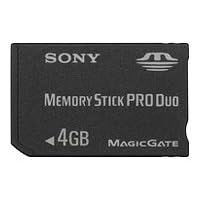 21GVSP1FEDL. SL500 AA200  Sony   Flash memory card    4 GB   MS PRO DUO