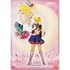 スペシャルミュージカル 美少女戦士セーラームーン メモリアルDVD-BOX 大山アンザ編(上)