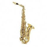 SX90R Alto Saxophone Alto - Black Nickel