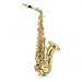 SX90R Alto Saxophone Alto - Black Nickel