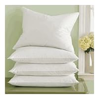 Pacific Coast Down Surround Standard Pillow Set - Featured in Many Marriott Hotels
