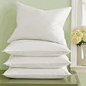 Marriott Pacific Coast Down Surround Standard Pillow