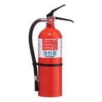 First Alert FE2A10GR 2-A 10-B:C Compliance Fire Extinguisher