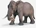 Schleich Female African Elephant Figure