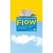 Flow im Beruf