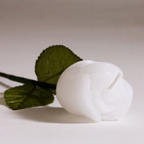 Long Stem White Rose Candles