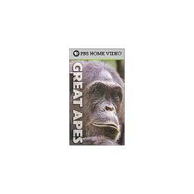 Great Apes [VHS]