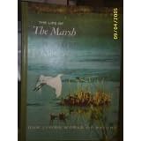 The Life of the Marsh