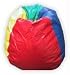 Bean Bag Beach Ball