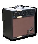 First Act VA850 30 Watt Amplifier - B000OT6128