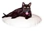 20" Round Cat Bed