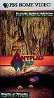 VHS : Anyplace Wild: Caving in New Mexico and Arkansas
