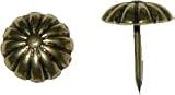 Decorative Nail 1/2 - Scalloped